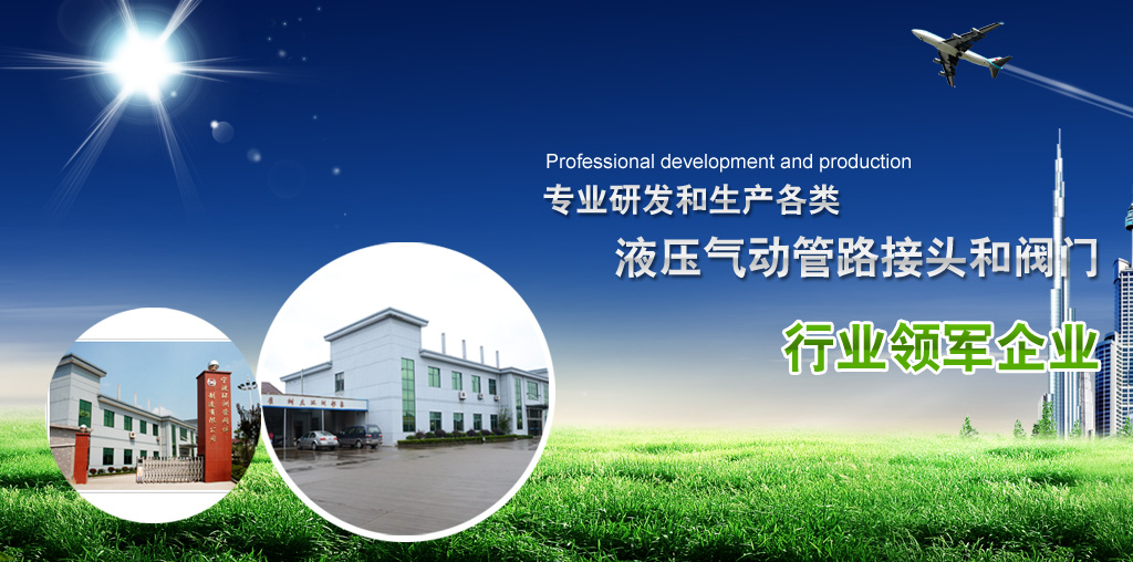 擴(kuò)口式管接頭